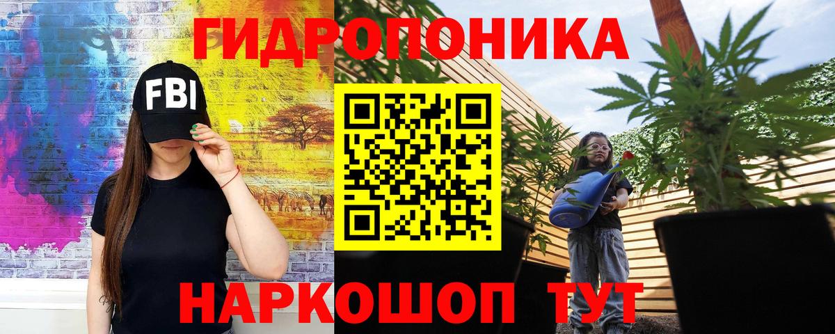 МАРИХУАНА конопля  Канабис сатива  Вход с VPN  Аргун  Конопля семена 